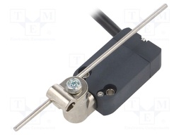 Limit switch; adjustable plunger, length R 19-116mm; NO + NC