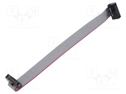 Ribbon cable with IDC connectors; Tape ph: 0.64mm; 101.6mm