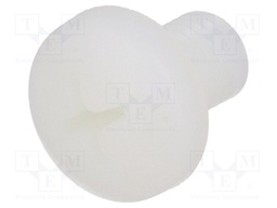 Screw; M10x16; Head: cheese head; Phillips; polyamide