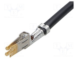 Ribbon cable with connectors; cable; PIN: 1