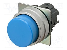 Switch: push-button; 22mm; Stabl.pos: 2; prominent; Pos: 2