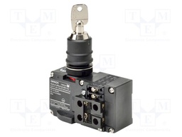 Switch: rotary with key; 22mm; none