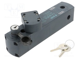 Safety switch: bolting; NS; IP67; Electr.connect: M12 12pin; 24VDC