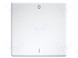 Cover plate; intelligent house,buttons and switches; double