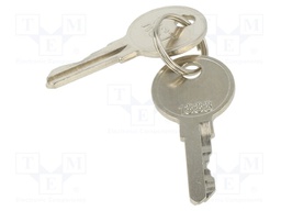 Key; Key code: 1333; 2pcs.