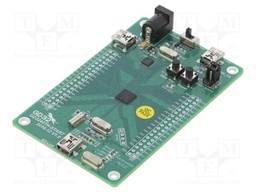 Dev.kit: ARM CORTEX-M4; USB B mini,pin strips; GPIO,SWD,USB