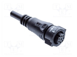 BBD-06AFFM-QL8F01