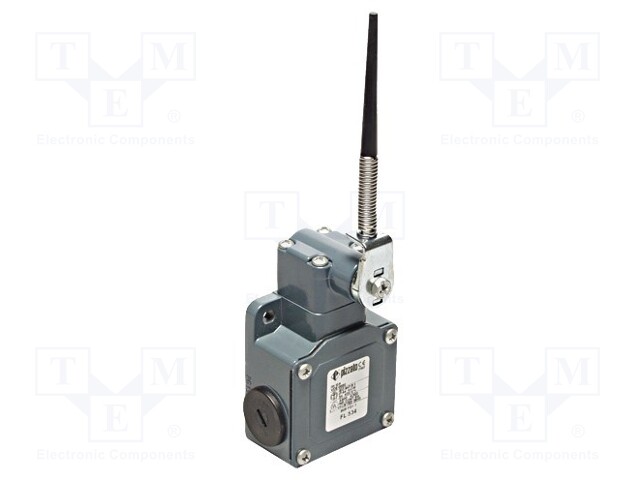 Limit switch; plunger on spring loaded element R 106mm; 10A