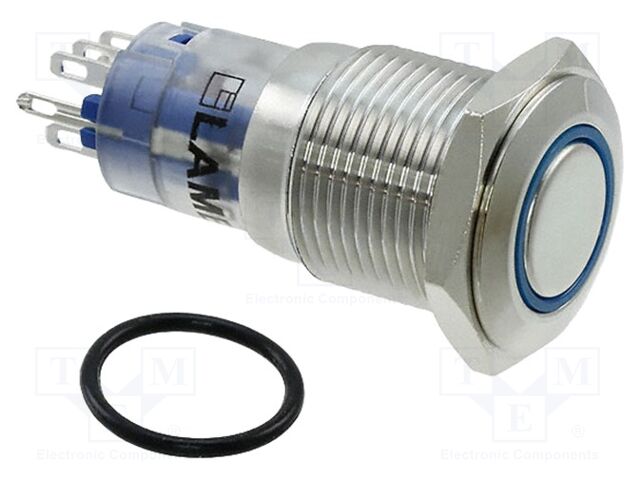 Switch: vandal resistant; Pos: 2; DPDT; 2A/48VDC; IP67; ON-(ON)