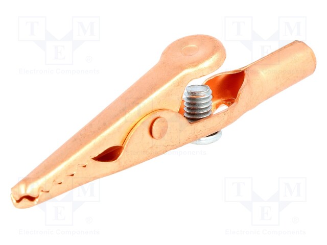 Crocodile clip; 10A; 70VDC; max.8mm; Connection: screw terminal