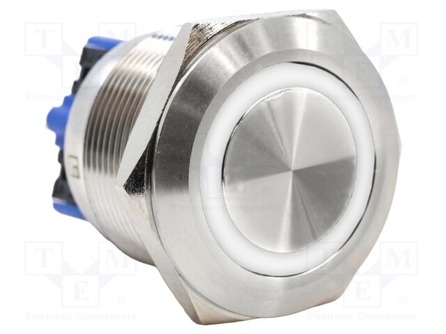 Switch: vandal resistant; DPST-NO + DPST-NC; 2A/48VDC; IP65; 24V