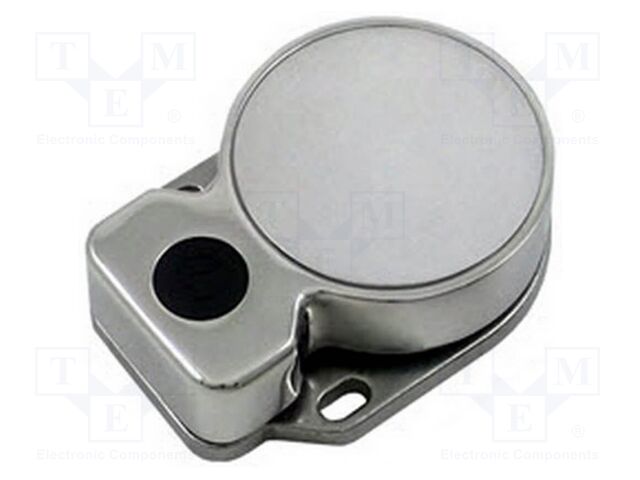 Actuator; D40ML; IP67; stainless steel; -25÷40°C; 950N