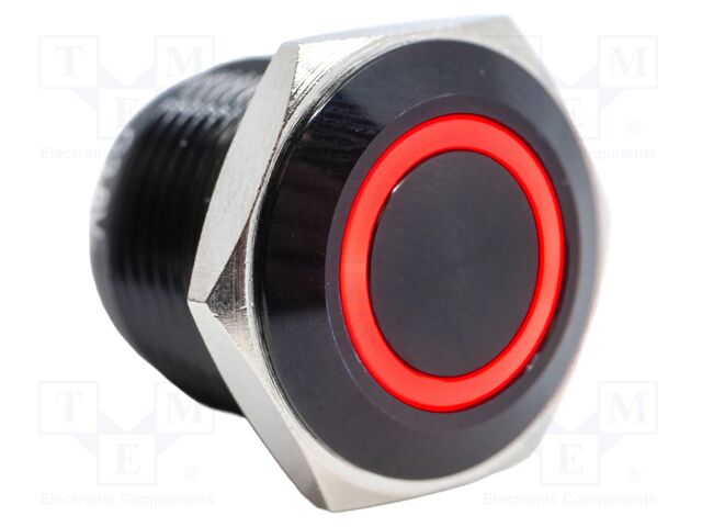 Switch: vandal resistant; Pos: 2; SPST-NO; 2A/48VDC; IP65; OFF-(ON)
