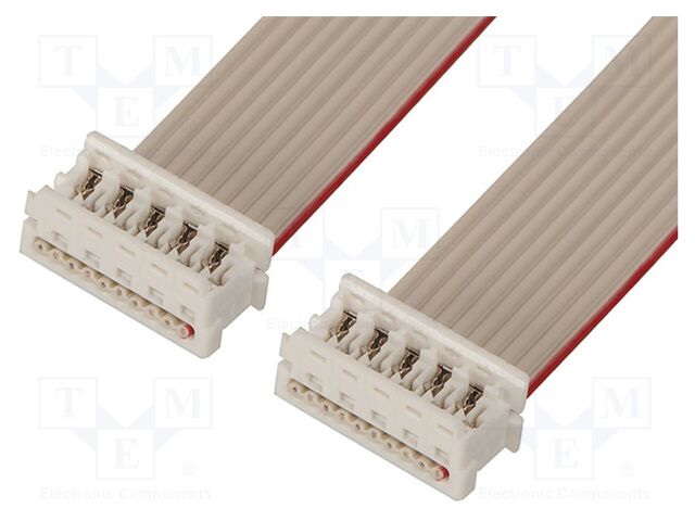 Ribbon cable with connectors
