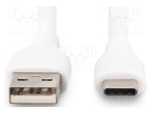 Cable; USB 2.0; USB A plug,USB C plug; nickel plated; 2m; white