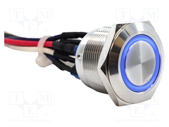 Switch: vandal resistant; Pos: 2; SPST NC + NO; 2A/48VDC; IP65