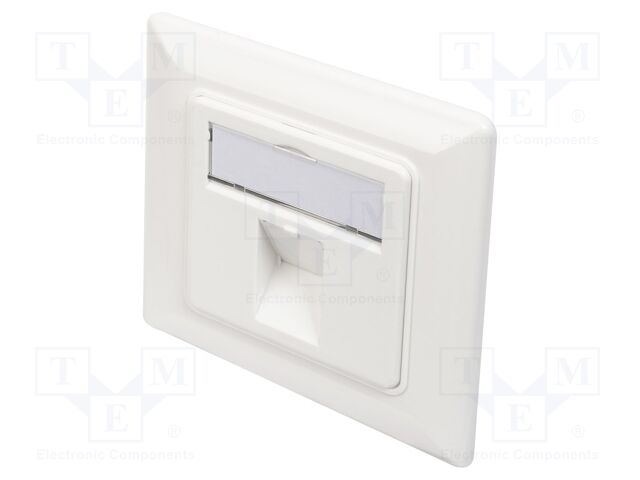 Wall socket; Keystone,angled; white; Number of ports: 2; ABS