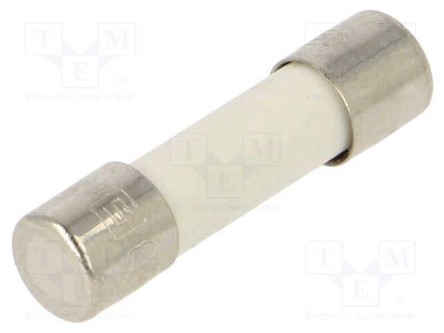 Fuse: fuse; medium time-lag; 8A; 250VAC; ceramic,cylindrical; FSM