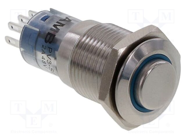 Switch: vandal resistant; Pos: 2; SPDT; 2A/48VDC; IP67; ON-(ON)