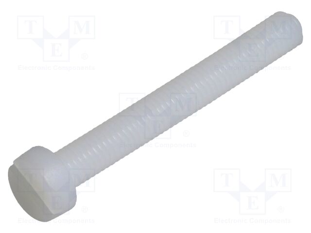 Screw; M5x40; 0.8; Head: cheese head; slotted; 1,3mm; polyamide