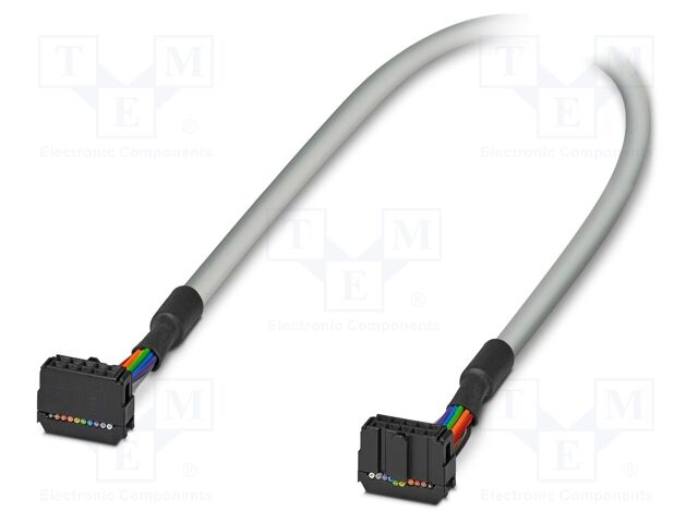 Ribbon cable with IDC connectors; IDC/FLK 10pin,both sides