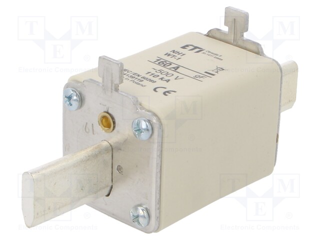 Fuse: fuse; quick blow; 160A; 500VAC; ceramic,industrial; NH1