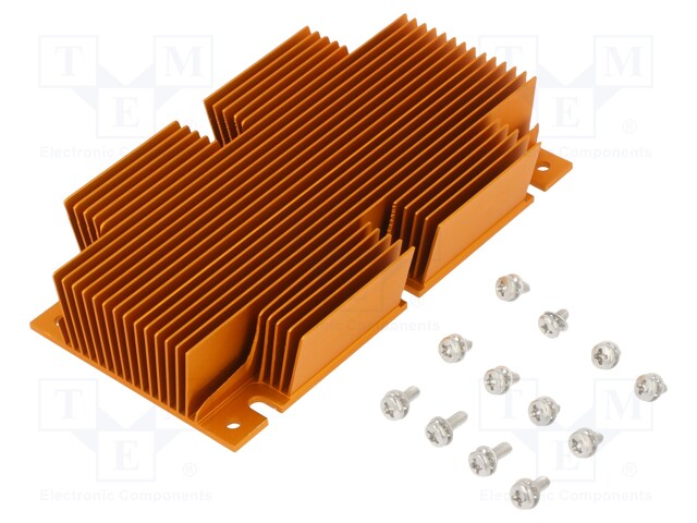 Heatsink: extruded; grilled; golden; L: 117mm; W: 61mm; H: 22.9mm