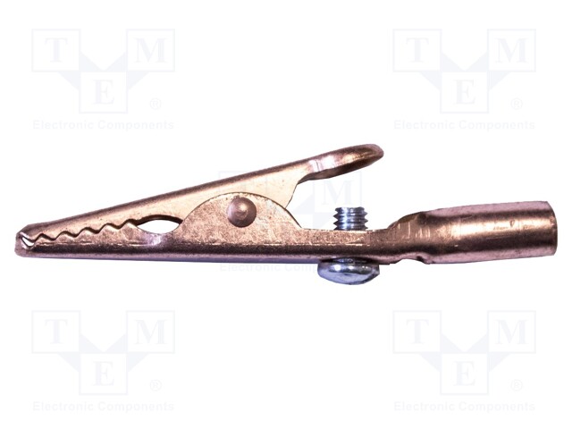 Crocodile clip; 10A; Grip capac: max.7.9mm; Overall len: 50mm