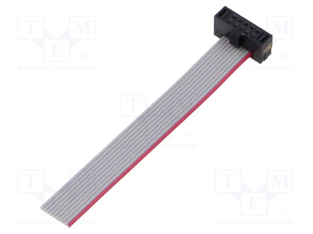 Ribbon cable with IDC connectors; Tape ph: 0.64mm; 50.8mm