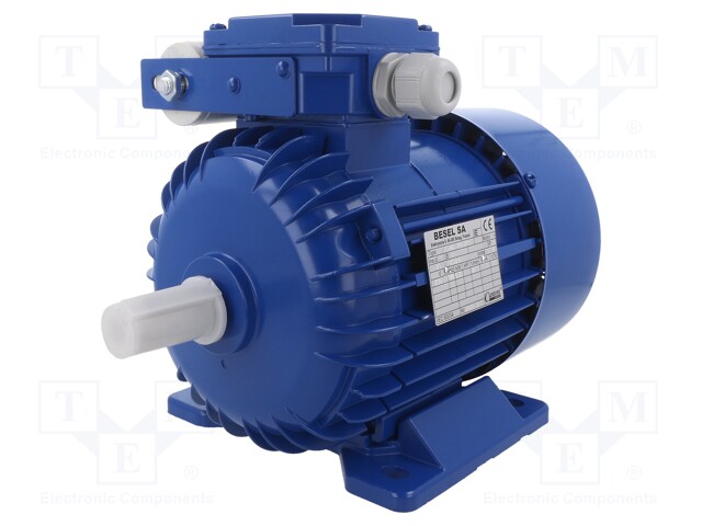 Motor: AC; 1-phase; 0.75kW; 230VAC; 2800rpm; 9.7kg; IP54; -15÷40°C