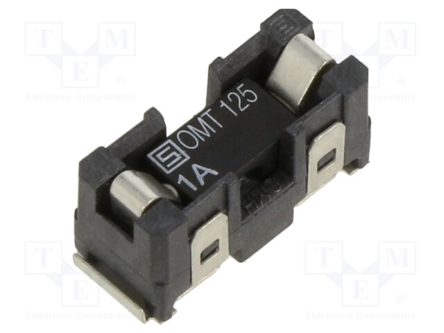Fuse: fuse; time-lag; 1A; 125VAC; 125VDC; SMD; ceramic; OMZ 125