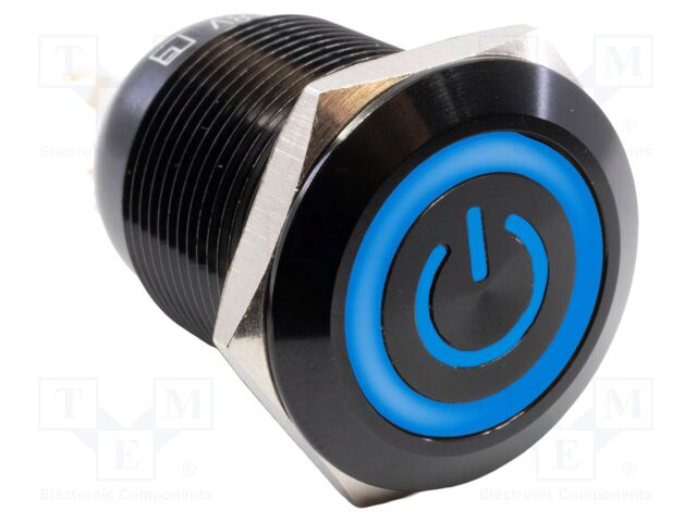 Switch: vandal resistant; Pos: 2; SPST NC + NO; 2A/24VDC; IP65