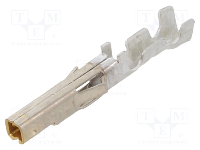 MiniFit Term Crp Fem Lse Bz 30Au 22-28