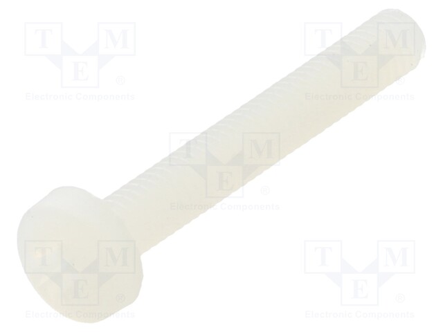 Screw; M3x20; 0.5; Head: cheese head; Pozidriv; 0,8mm; polyamide