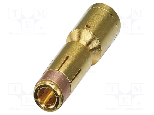 Contact; female; CuZn; gold-plated; crimped