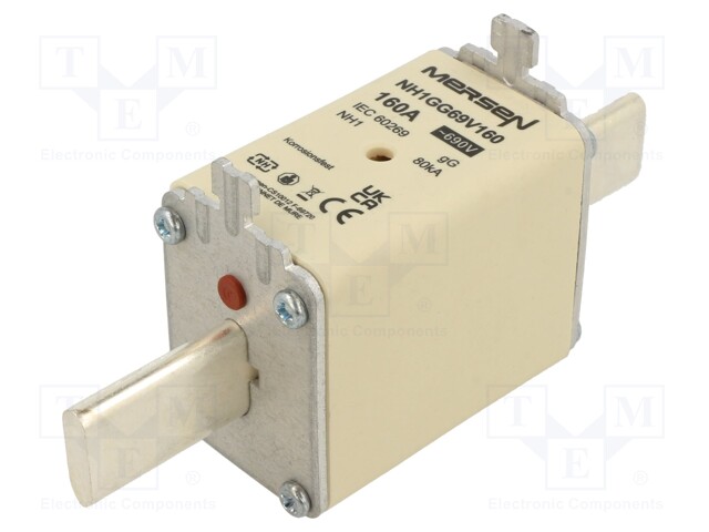 Fuse: fuse; gG; 160A; 690VAC; 400VDC; ceramic,industrial; NH1