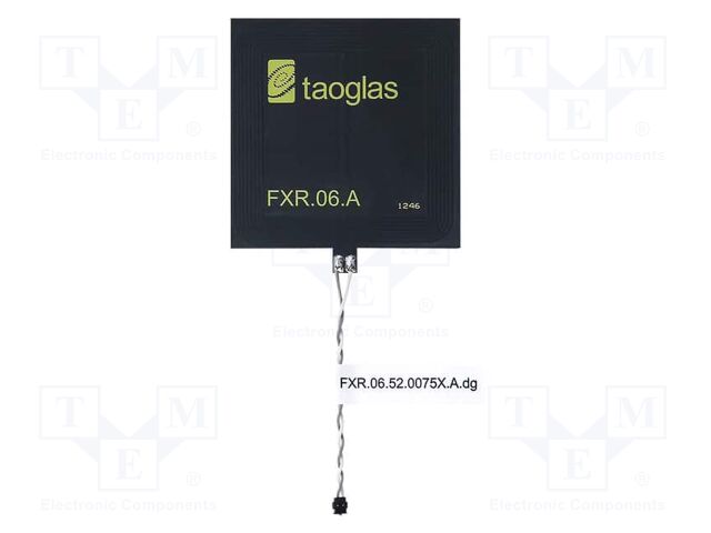 FXR.06.52.0075X.A.DG