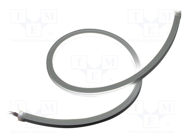 NEON LED tape; white cold; 2835; 12V; LED/m: 120; 12mm; IP65; 10W/m