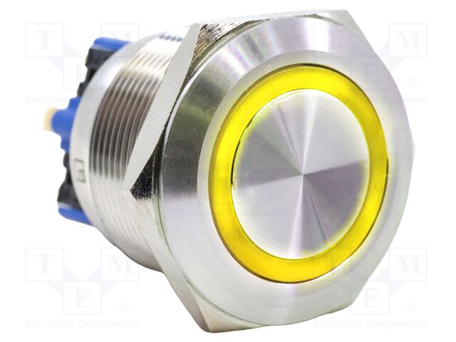 Switch: vandal resistant; DPST-NO + DPST-NC; 2A/48VDC; IP65; PV8