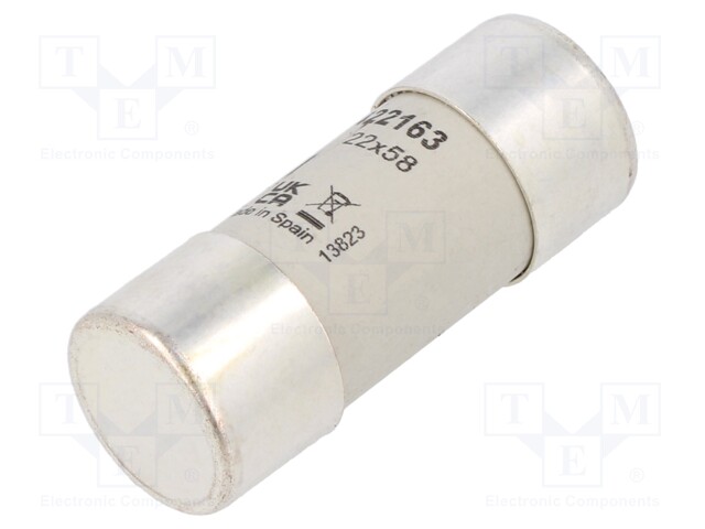 Fuse: fuse; gG; 63A; 690VAC; 440VDC; 22x58mm