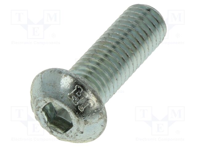 Screw; M10x30; Head: eye; hex key; HEX 6mm; steel; ISO 7380-1