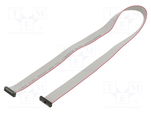 Ribbon cable with IDC connectors; Tape ph: 0.64mm; 443.48mm