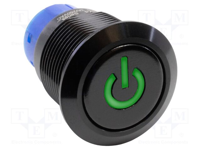Switch: vandal resistant; SPDT; 3A/250VAC; IP67; ON-(ON); green; 3V
