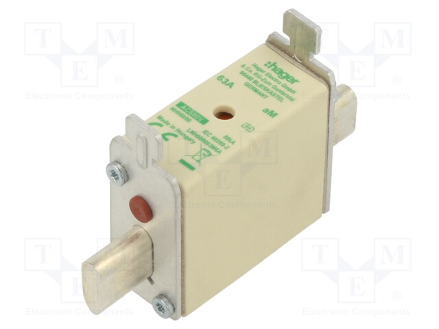 Fuse: fuse; aM; 63A; 690VAC; industrial; NH000