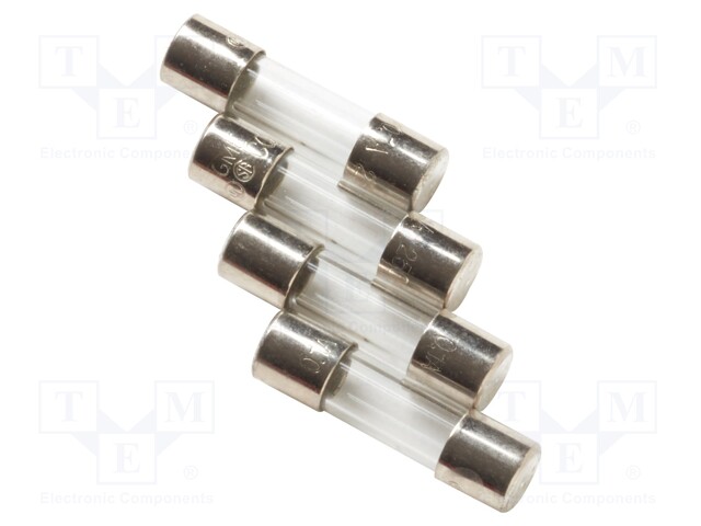 Fuse; 100mA; 250V; 4pcs.