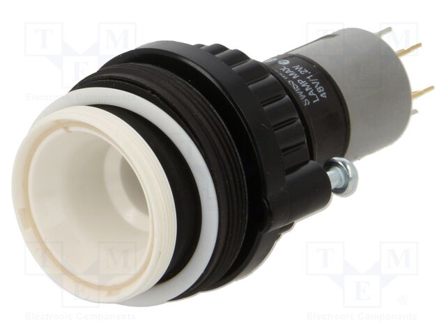 Switch: body; 30mm; Stabl.pos: 2; NO x2; 14; Pos: 2