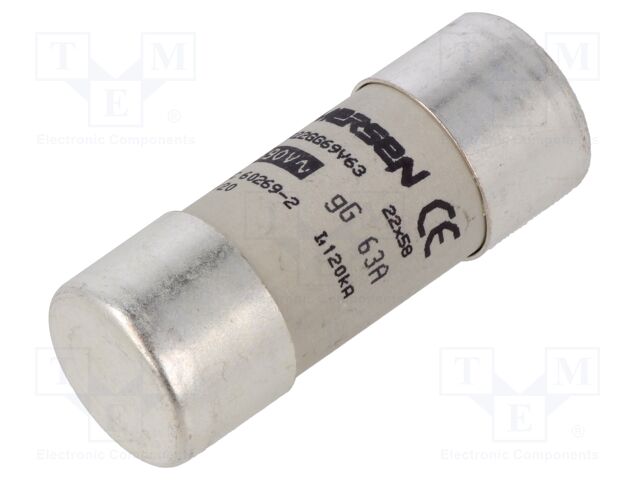 Fuse: fuse; gG; 63A; 690VAC; ceramic,cylindrical,industrial
