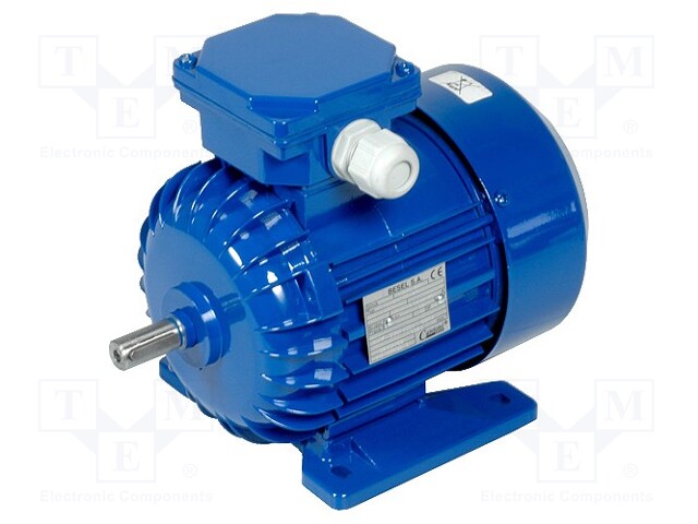 Motor: AC; 3-phase; 0.25kW; 1380rpm; continuous operation S1; IP54