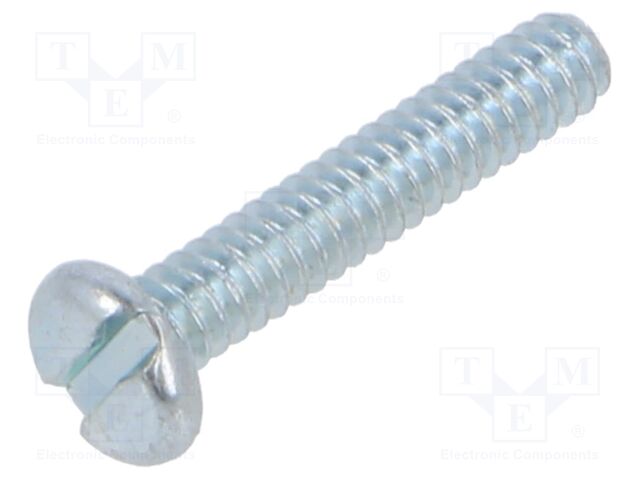 Screw; Head: cheese head; slotted; steel; zinc