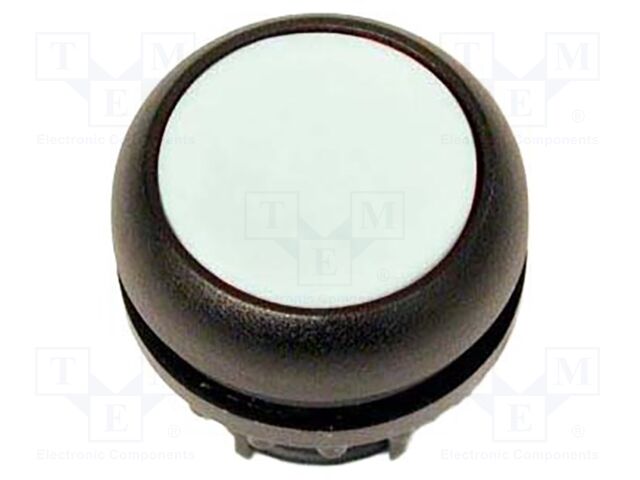 Switch: push-button; Stabl.pos: 2; 22mm; Illumin: none; IP67; Pos: 2